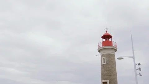 Lighthouse with seagull bird Stock Footage 86509805