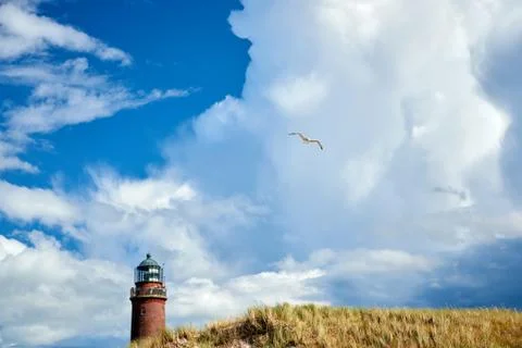 Lighthouse seagull copyspace Stock Photos
