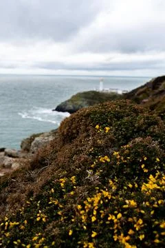 Lighthouse South Stack Lighthouse, Anglesey, Wales, UK Stock Photos