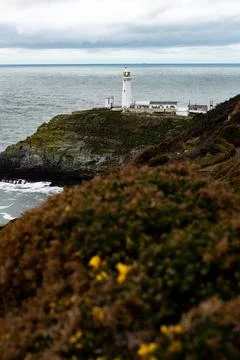 Lighthouse South Stack Lighthouse, Anglesey, Wales, UK Stock-Fotos