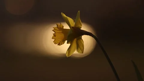 The Lighthouse Of Spring  Video stock 304871105