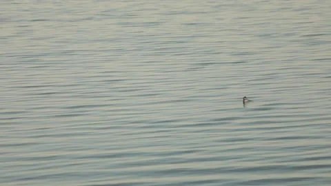 Lighthouse at Sunrise Stockbeeldmateriaal 150140565