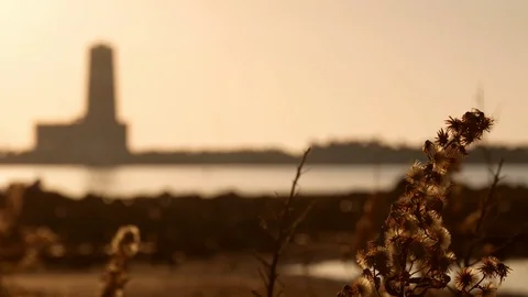 Lighthouse at sunset with plants in foreground, change of focus Stock Footage 98252869