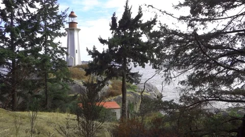 Lighthouse Tower - 01 - Ocean Shore Forest - Sunny Day 動画素材 52993668