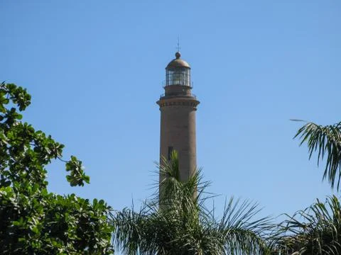 Lighthouse with vegetation Stock Photos