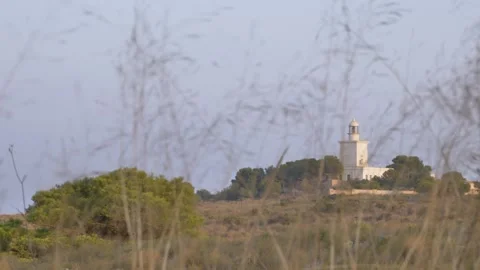 Lighthouse View From Land Behind Out-of-Focus Tall Grass Stock Footage 346742886