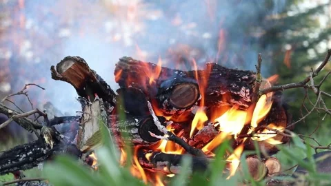 Lighting a bonfire on a hike or during a picnic Video stock 336396746