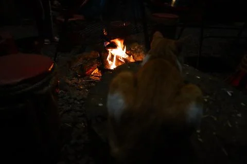 Lighting a bonfire Stock Photos