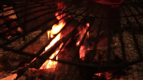 Lighting a bonfire, preparing for a barbecue Stock Footage 249257426