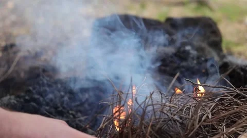 Lighting a Campfire Stock Footage 283307432