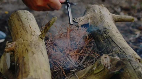 Lighting a campfire with sparks and ferro rod in the forest woods Video stock 341682632