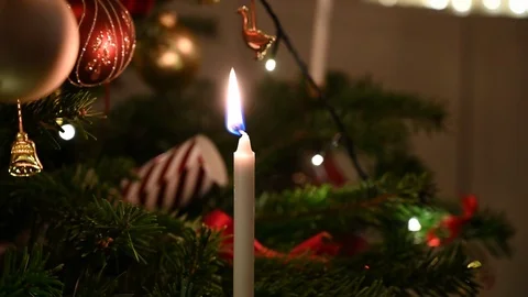 Lighting candle on christmas tree Stock Footage 116235293