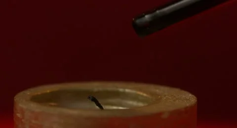 Lighting a candle Stock Footage 11313008