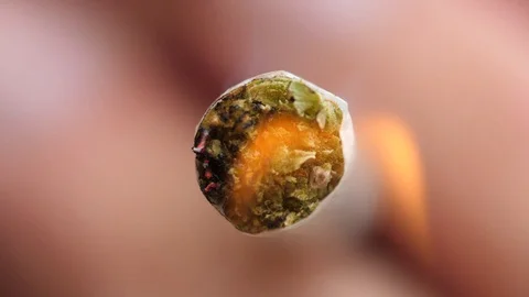 Lighting a Cannabis Joint, Macro, Slow Motion Stock Footage 130044461