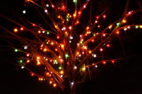 Lighting decoration on the tree Stock Photos