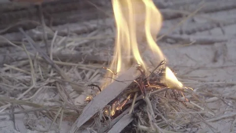 Lighting fire with branches and lighter Stock Footage 82252278