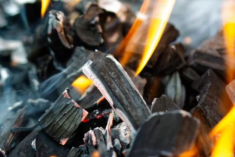 Lighting fire on coals. Picnic, eating outdoors, barbecue Stock Photos