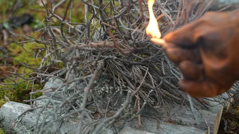 Lighting a fire in the forest Video stock 296186922
