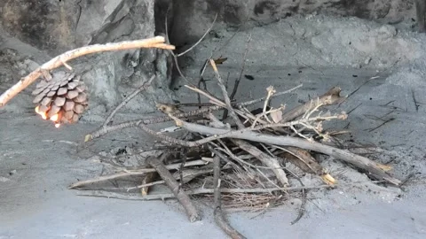 Lighting a fire with pine cone Stock Footage 161506827