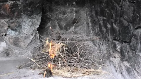 Lighting a fire with pine cone Stock Footage 161506855