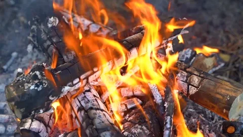 Lighting a fire without matches. Stock Footage 108288657