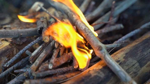 Lighting a fire without matches Video stock 110810255