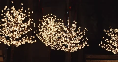 Lighting garland in a tree Vídeo Stock 167641942