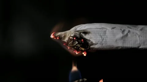 Lighting marijuana joint Video stock 19262763