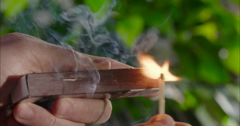 Lighting Match in Nature: Close-Up Slow Motion Macro Video stock 209471640