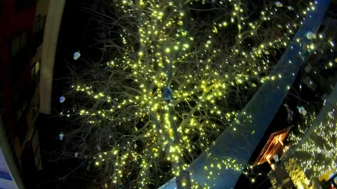 Lighting up the night, festive holiday lights in a tree, Slow Motion Stock Footage 100054036