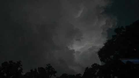 Lighting Over Trees Video stock 344981062