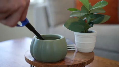 Lighting Pumpkin Candle Stock-Footage 219758801