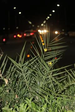 Lighting on road. Stock Photos