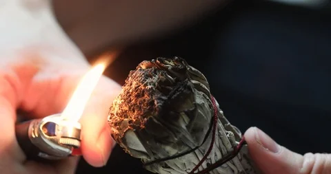 Lighting Sage Stock Footage 123813303