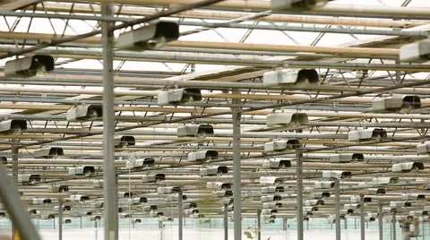 The lighting system inside the greenhouse Video stock 62529352