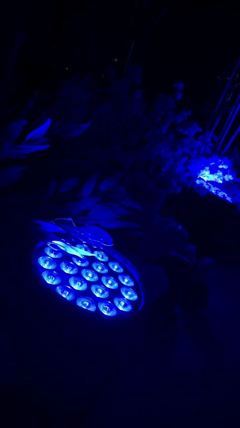 Lighting template background blue HD Stock Footage 339223410