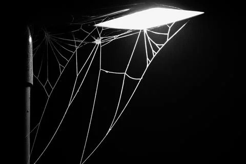 Lighting The Web Stock Photos