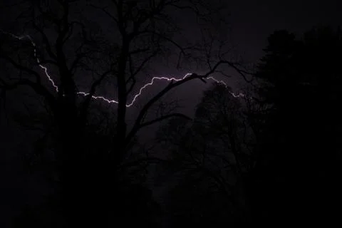 A Lightining Strike Behind Silhouetted Trees Stock Photos