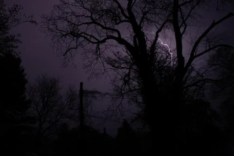A Lightining Strike Behind Silhouetted Trees Stock Photos