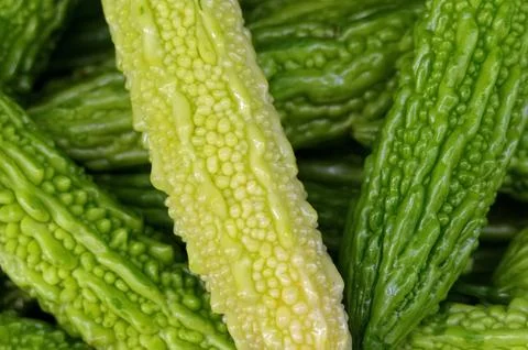 A lightly colored bitter melon sticking out among the regular green ones at a Stock Photos