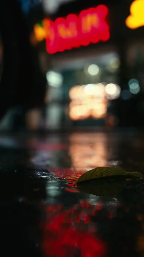 LIGHTLY DRIZZLING Stock Footage 231764685