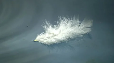 Lightness Video stock 7902448