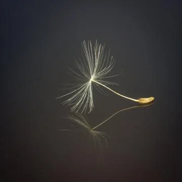 Lightness Foto stock