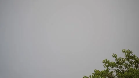 Lightning 2 Stock Footage 312071056