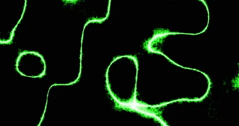 Lightning Bend Background Of Swirling Electric Energy Green Stock Footage 155519245