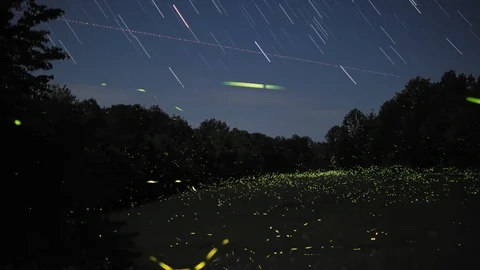 Lightning Bugs in a Field on a Farm Long Exposure Stacking Shot Stock Footage 108071511