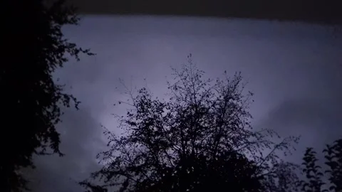 Lightning clouds illuminate silhouetted trees with flashing thunder strike Stock Footage 343876898