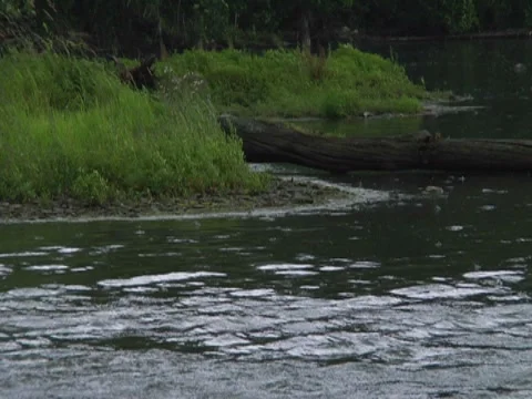 Lightning Coming Storm Lake River Pond Sea Coast Flooding Rain 動画素材 7765181