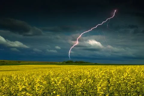 Lightning in the fields Foto stock