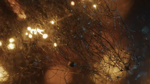 Lightning Fire Rapidly Spreads Through Burning Steel Wool. - Close Up Stock Footage 255133085